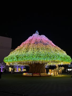東京メガイルミに投稿された画像（2024/12/19）