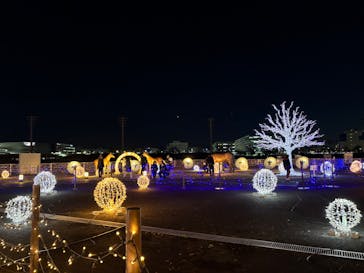 東京メガイルミに投稿された画像（2024/12/19）