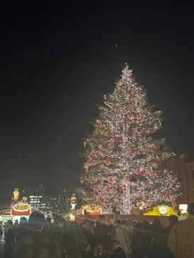 Christmas Market in 横浜赤レンガ倉庫 2025に投稿された画像（2024/12/19）