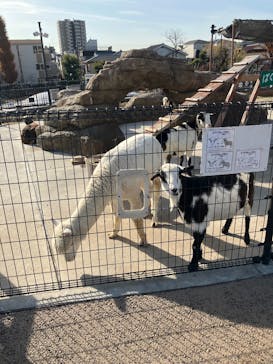 あらかわ遊園に投稿された画像（2024/12/20）