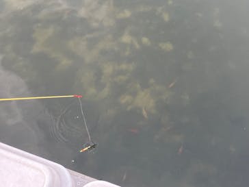 あらかわ遊園に投稿された画像（2024/12/20）