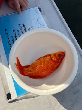 あらかわ遊園に投稿された画像（2024/12/20）