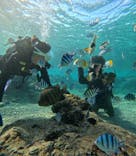 沖縄マリンサービス碧に投稿された画像（2024/12/20）