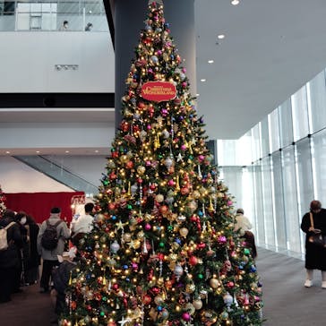 ブロードウェイ クリスマス・ワンダーランド（東急シアターオーブ）に投稿された画像（2024/12/20）
