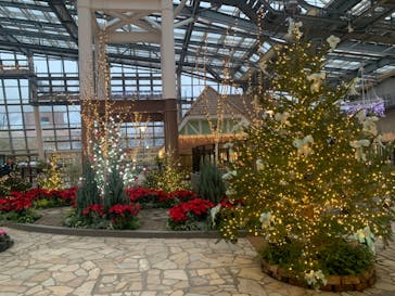 安城産業文化公園デンパークに投稿された画像（2024/12/20）