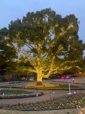 安城産業文化公園デンパークに投稿された画像（2024/12/20）