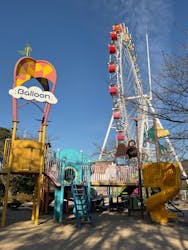 到津の森公園に投稿された画像（2024/12/20）