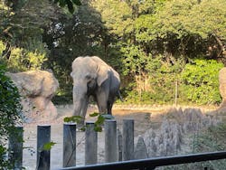 到津の森公園に投稿された画像（2024/12/20）