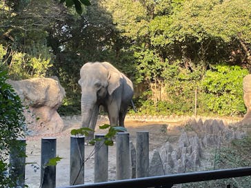 到津の森公園に投稿された画像（2024/12/20）