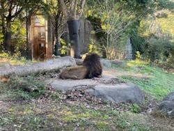 到津の森公園に投稿された画像（2024/12/20）