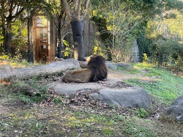 到津の森公園に投稿された画像（2024/12/20）