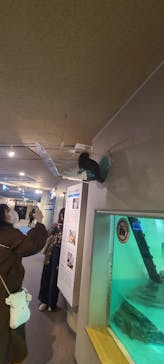 しながわ水族館に投稿された画像（2024/12/20）