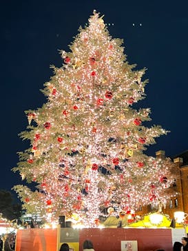 Christmas Market in 横浜赤レンガ倉庫 2025に投稿された画像（2024/12/20）