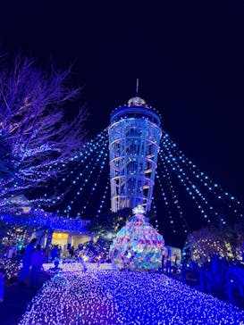 江の島シーキャンドルに投稿された画像（2024/12/20）