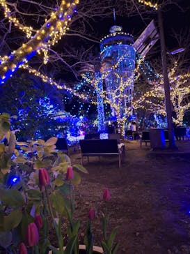 江の島シーキャンドルに投稿された画像（2024/12/20）