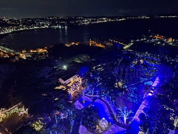 江の島シーキャンドルに投稿された画像（2024/12/20）