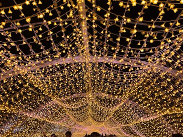 東京メガイルミに投稿された画像（2024/12/20）