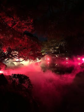 NAKEDヨルマイリ 2025-26 平安神宮に投稿された画像（2024/12/20）