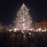 Christmas Market in 横浜赤レンガ倉庫 2025に投稿された画像（2024/12/20）