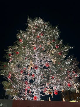 Christmas Market in 横浜赤レンガ倉庫 2025に投稿された画像（2024/12/20）