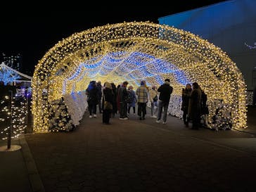 東京メガイルミに投稿された画像（2024/12/20）