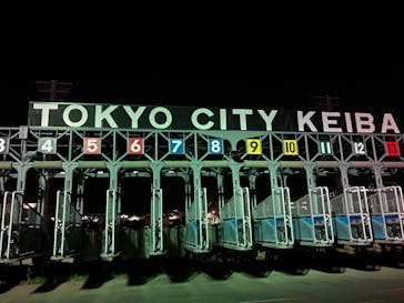 東京メガイルミに投稿された画像（2024/12/20）