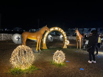 東京メガイルミに投稿された画像（2024/12/20）