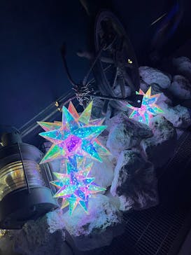 NESTA RESORT KOBE（ネスタリゾート神戸）に投稿された画像（2024/12/20）