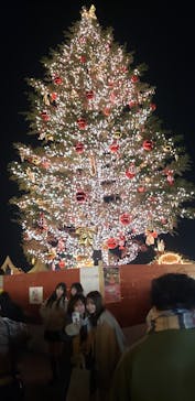 Christmas Market in 横浜赤レンガ倉庫 2025に投稿された画像（2024/12/20）