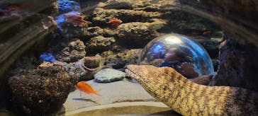 名古屋港水族館に投稿された画像（2024/12/20）