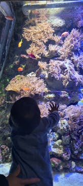 名古屋港水族館に投稿された画像（2024/12/20）