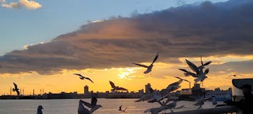 名古屋港水族館に投稿された画像（2024/12/20）