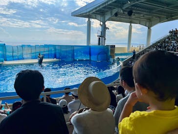 新江ノ島水族館に投稿された画像（2024/12/20）