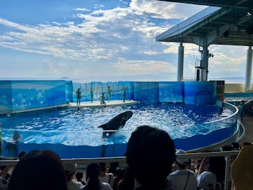 新江ノ島水族館に投稿された画像（2024/12/20）