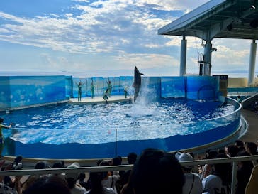 新江ノ島水族館に投稿された画像（2024/12/20）
