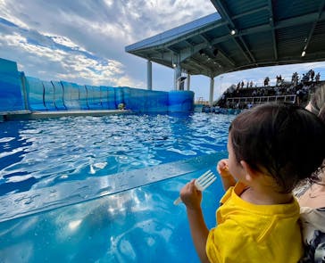 新江ノ島水族館に投稿された画像（2024/12/20）