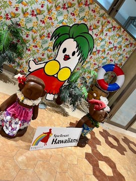 スパリゾートハワイアンズに投稿された画像（2024/12/20）