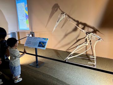 巨大恐竜展2024に投稿された画像（2024/12/20）