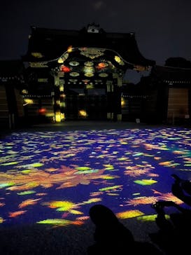 NAKED meets 二条城 2025 観月に投稿された画像（2024/12/9）