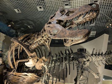 国立科学博物館に投稿された画像（2024/12/20）