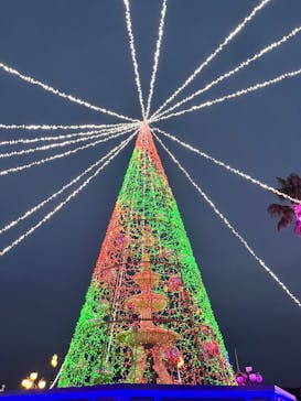 フェスタ・ルーチェに投稿された画像（2024/12/20）