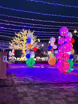 フェスタ・ルーチェに投稿された画像（2024/12/20）