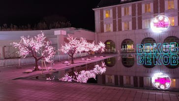 神戸イルミナージュに投稿された画像（2024/12/21）