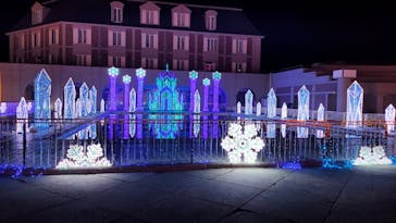 神戸イルミナージュに投稿された画像（2024/12/21）