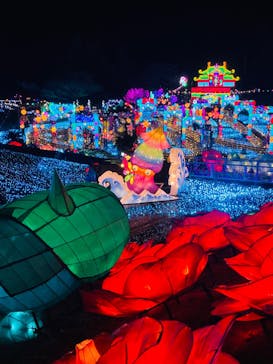 伊豆高原グランイルミに投稿された画像（2024/12/21）