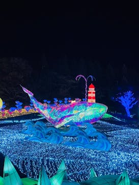 伊豆高原グランイルミに投稿された画像（2024/12/21）