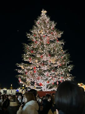 Christmas Market in 横浜赤レンガ倉庫 2025に投稿された画像（2024/12/21）