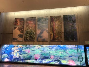 モネ 睡蓮のとき（国立西洋美術館）に投稿された画像（2024/12/21）