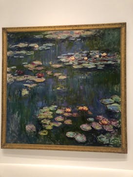 モネ 睡蓮のとき（国立西洋美術館）に投稿された画像（2024/12/21）