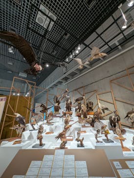 国立科学博物館に投稿された画像（2024/12/21）